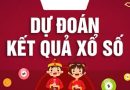 Dự đoán xổ số Gia Lai 28/02/2025 – Soi cầu GL chuẩn xác