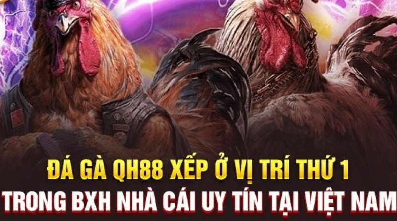 Đá Gà QH88 – Hình thức cá cược trực tuyến được yêu thích nhất 2023