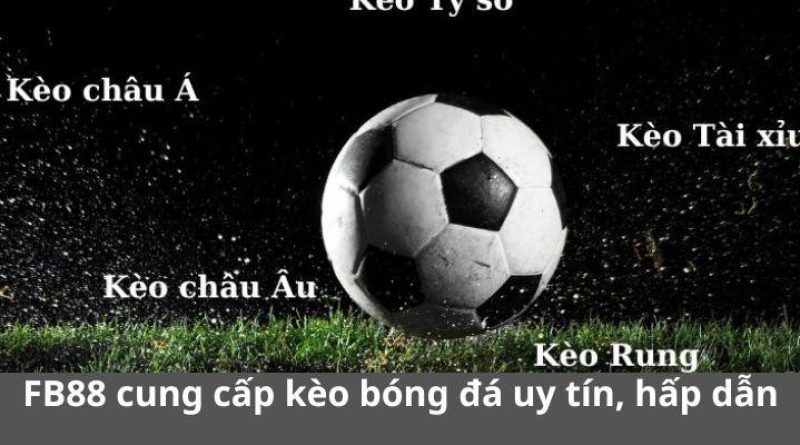 FB88 Cung Cấp Kèo Bóng Đá Uy Tín Nhất Hiện Nay